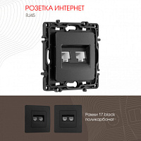 Розетка RJ45 х 2 217.45-2.black Arte Milano