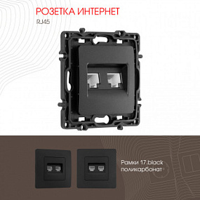 Розетка RJ45 х 2 217.45-2.black Arte Milano