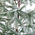 Ель CRYSTAL TREES РОНДА а в снегу 180 см. KP15180
