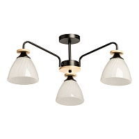 Потолочная люстра De City Дэла 635018003