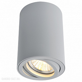 Накладной светильник Arte Lamp A1560PL-1GY