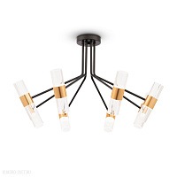 Светодиодная потолочная люстра Freya Mia FR6038CL-L80B