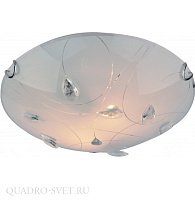 Настенно-потолочный светильник Arte Lamp BELLE A4045PL-2CC