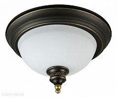 Потолочный светильник Arte Lamp Bonito A9518PL-2BA