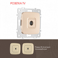 Розетка TV 205.43-1.shampan Arte Milano