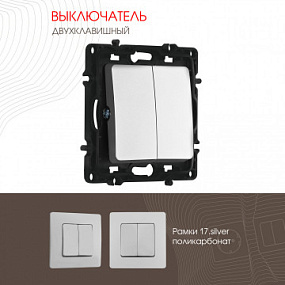 Выключатель двухклавишный, 10AX 250V 217.30-2.silver Arte Milano