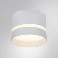 Накладной светильник Arte Lamp IMAI A2265PL-1WH