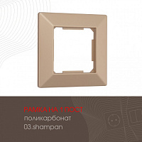 Рамка из поликарбоната на 1 пост 503.03-1.shampan Arte Milano