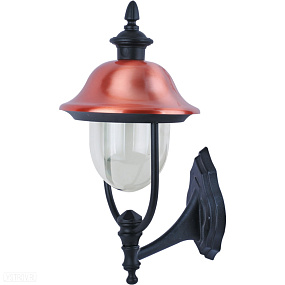 Настенный уличный светильник Arte Lamp BARCELONA A1481AL-1BK