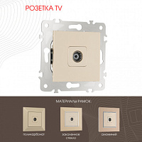 Розетка TV 203.43-1.shampan Arte Milano
