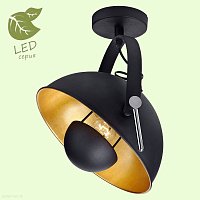 Потолочный светильник Lussole Loft SHERRELWOOD GRLSP-9825