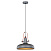 Подвесной светильник Lussole Loft MIDDLETOWN GRLSP-9814