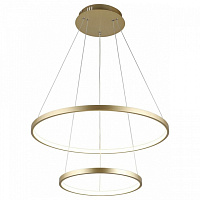 Подвесная светодиодная люстра Aployt Lunet APL.014.03.60