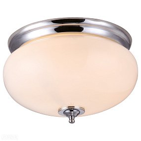 Потолочный светильник Arte Lamp ARMSTRONG A3560PL-2CC