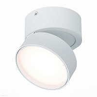 Накладной светодиодный светильник ST Luce ST651.532.14