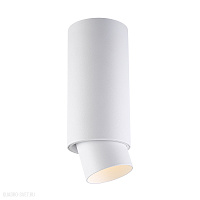 Накладной светильник Zumaline SCOPE 1 ACGU10-144