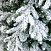 Ель CRYSTAL TREES АМАТИ в снегу 250 см. KP4025S