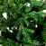 Ель CRYSTAL TREES МЕль CRYSTAL TREESБУРН 215 см. KP28215