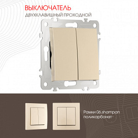 Выключатель двухклавишный проходной (на 2 направления), 10AX 250V 206.32-2.shampan Arte Milano