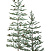 Ель CRYSTAL TREES БОРГО заснеженная с шишками 210 см. KP17210