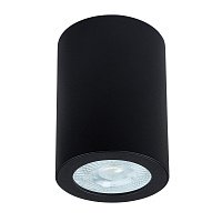 Потолочный влагозащищенный светильник Arte Lamp TINO A1468PL-1BK