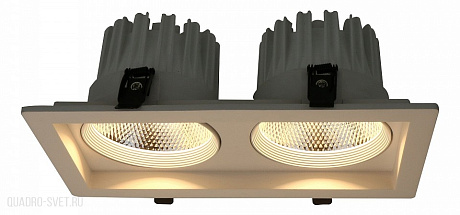 Встраиваемый светильник Arte Lamp Privato A7018PL-2WH