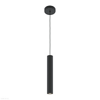 Подвесной светильник Maytoni Pro Focus MOD161PL-01B1