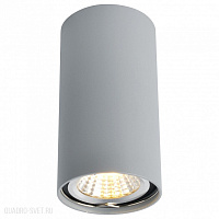 Накладной светильник Arte Lamp A1516PL-1GY