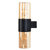 Уличный настенный светильник Arte Lamp SEGINUS A6515AL-2BK