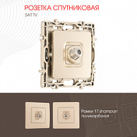 Розетка спутниковая, SAT TV 217.42-1.shampan Arte Milano