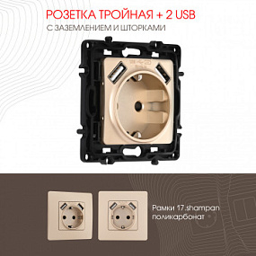 Розетка с заземлением, шторками + 2 USB, 16A 250V, USB DC 5V 2.1A 217.47-1.shampan Arte Milano