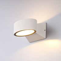 Уличный настенный светодиодный светильник Elektrostandard 1549 TECHNO LED BLINC белый