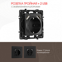 Розетка с заземлением, шторками + 2 USB, 16A 250V, USB DC 5V 2.1A 217.47-1.black Arte Milano