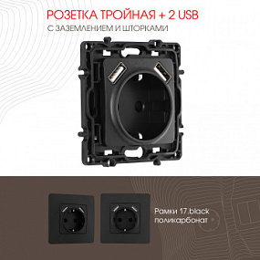 Розетка с заземлением, шторками + 2 USB, 16A 250V, USB DC 5V 2.1A 217.47-1.black Arte Milano