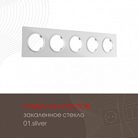 Рамка из закаленного стекла на 5 постов 502.01-5.silver Arte Milano