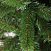 CRYSTAL TREES Искусственная Ель Алтайская 120 см