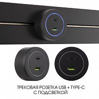 Трековая розетка, 3.1A 250V 399731TS/USB-Type-C Black Arte Milano