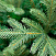 CRYSTAL TREES Искусственная Ель Этна с вплетенной гирляндой 120 см