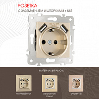 Розетка с заземлением, шторками + USB, 16A 250V, USB DC 5V 2.1A 203.47-1.shampan Arte Milano