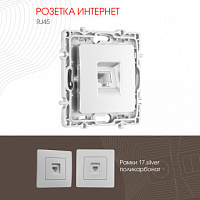 Розетка интернет, RJ45 217.45-1.silver Arte Milano