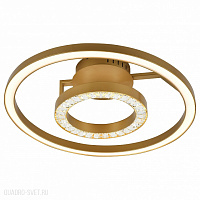 Светодиодный потолочный светильник Favourite Sanori 2546-2U