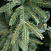 CRYSTAL TREES Искусственная Ель Альба с вплетенной гирляндой 120 см