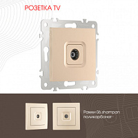 Розетка TV 206.43-1.shampan Arte Milano