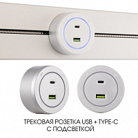 Трековая розетка, 3.1A 250V 399731TS/USB-Type-C Silver Arte Milano
