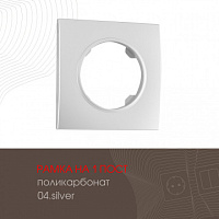 Рамка из поликарбоната на 1 пост 502.04-1.silver Arte Milano