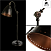 Настольная лампа Arte Lamp TRENDY A1508LT-1BR