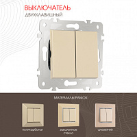 Выключатель двухклавишный, 10AX 250V 203.30-2.shampan Arte Milano