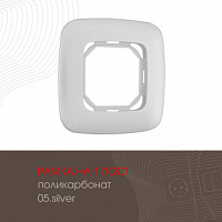 Рамка из поликарбоната на 1 пост 505.05-1.silver Arte Milano