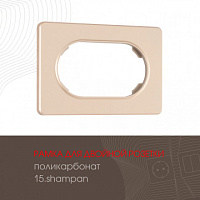 Рамка из поликарбоната для двойной розетки 502.15-double.shampan Arte Milano