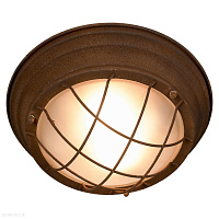 Потолочный светильник Lussole Loft LSP-8068